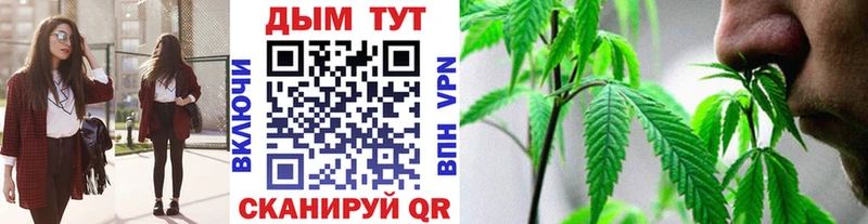 Где можно купить наркотики Ельня МЕГА ССЫЛКА  A-PVP  Меф  ГАШ  АМФ 