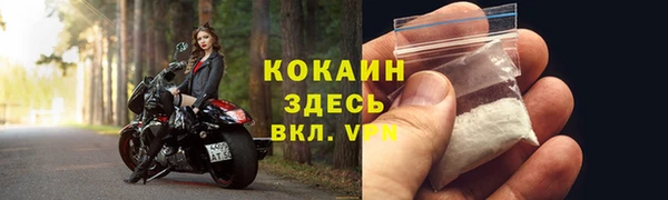PSILOCYBIN Балабаново