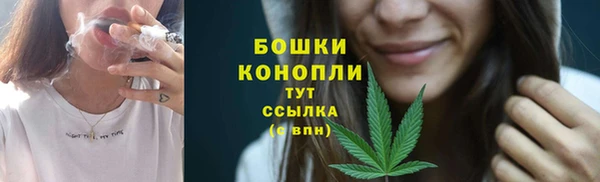 PSILOCYBIN Балабаново