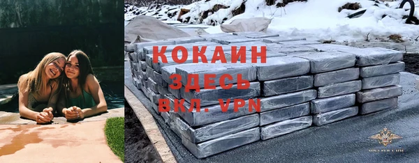 спиды Арсеньев