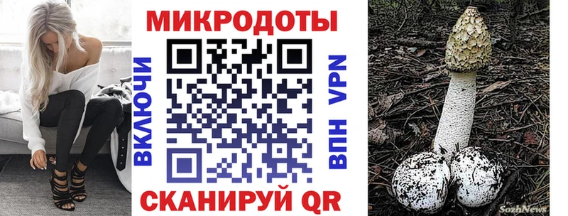 Псилоцибиновые грибы Magic Shrooms  Ельня 